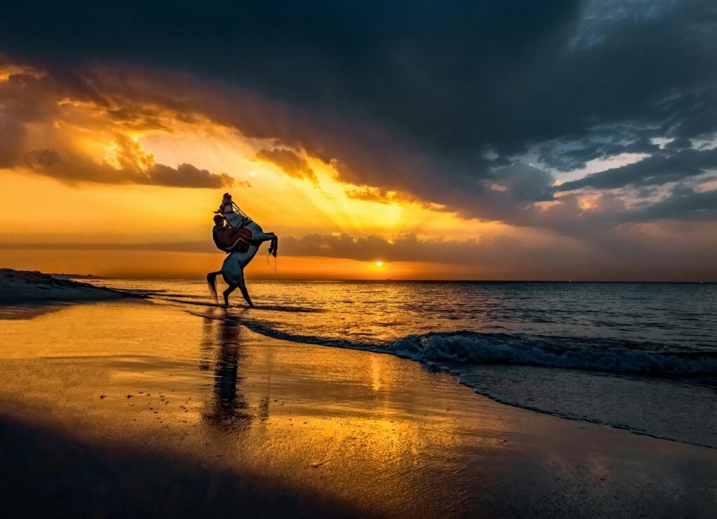 pexels-photo-9140982-9140982 A couple enjoying a romantic sunset on a beach in Gaza Strip, creating a picturesque reflection on the water.